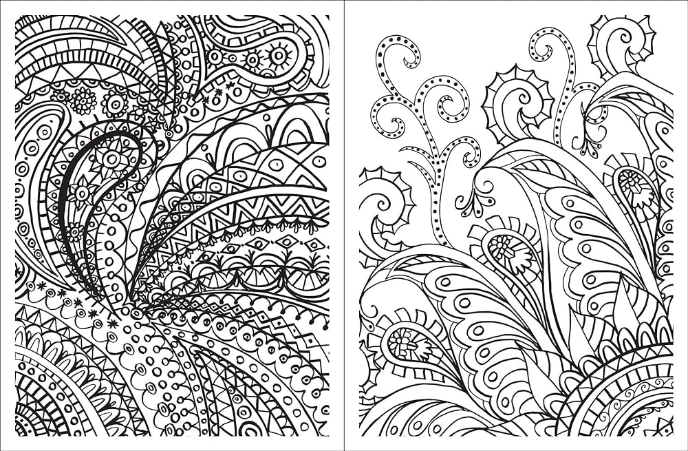 Posh adult coloring book paisley designs for fun relaxation volume posh coloring books logan teresa roberts books