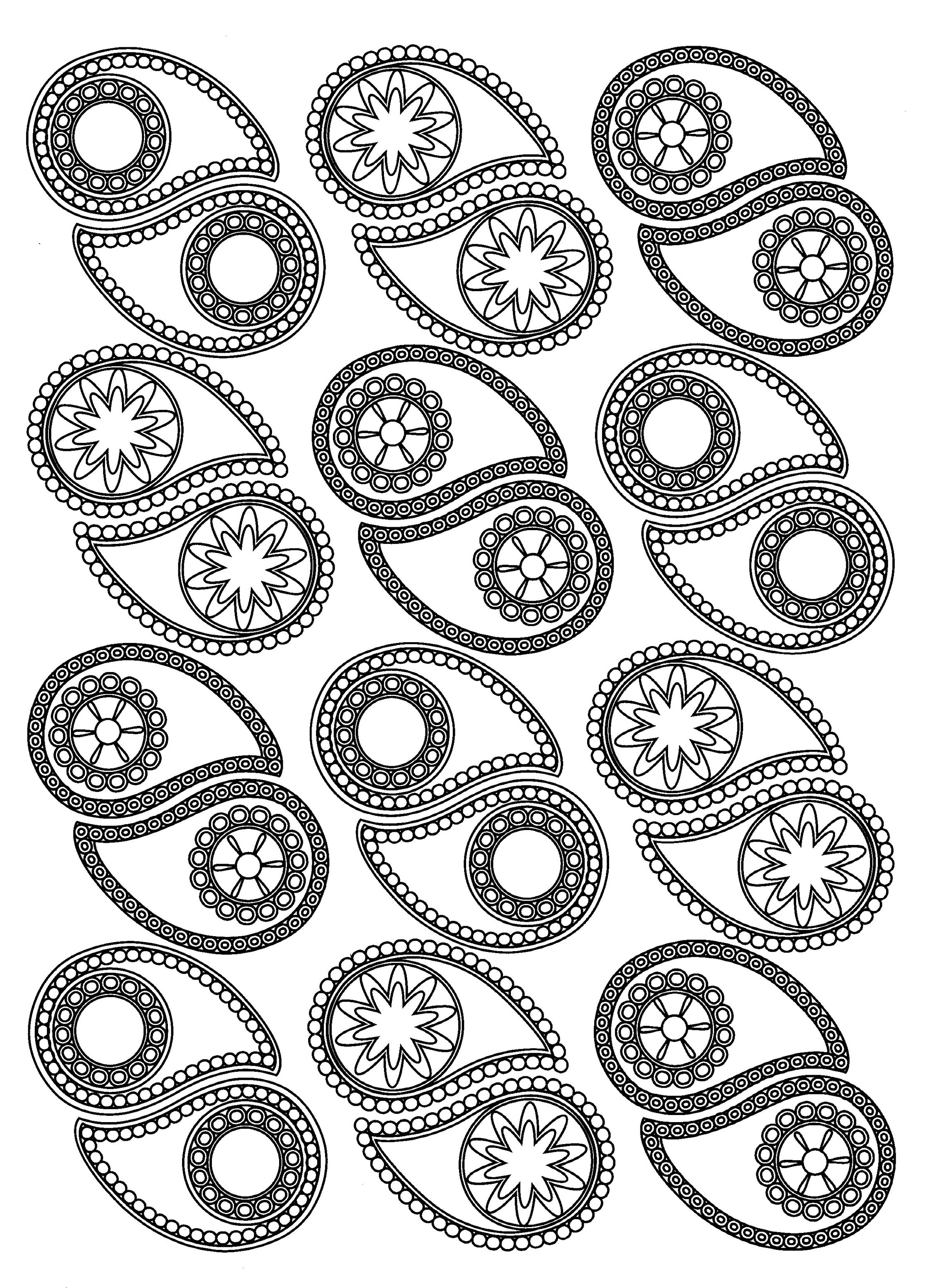 Many elegant paisley design