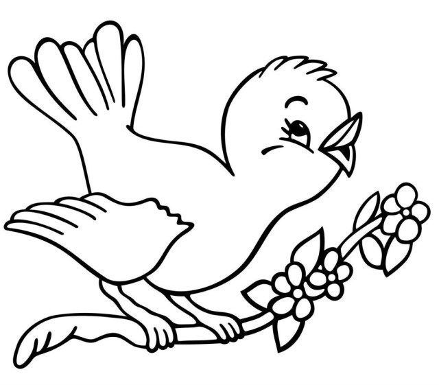 Exclusive picture of bird coloring pages