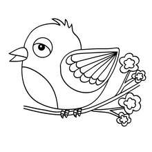 Colibri coloring pages