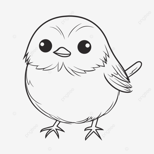 Dibujo de un lindo pajarito con pãginas para colorear bosquejo del quema vector png dibujos dibujo de pãjaro dibujo de ala dibujo de anillo png y vector para dcargar gratis