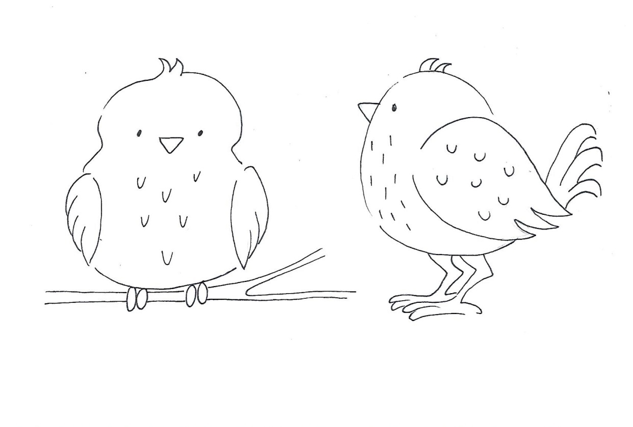 Drawing cute bird poses agnes de bezenac