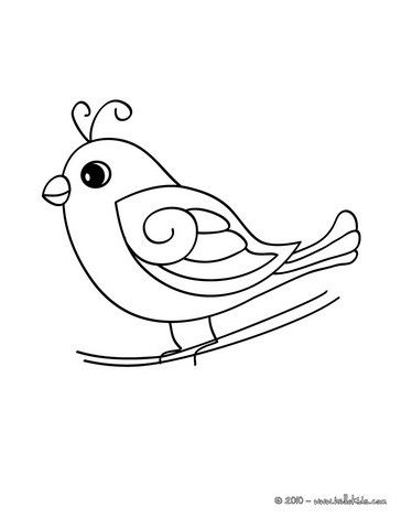 Bird coloring pages