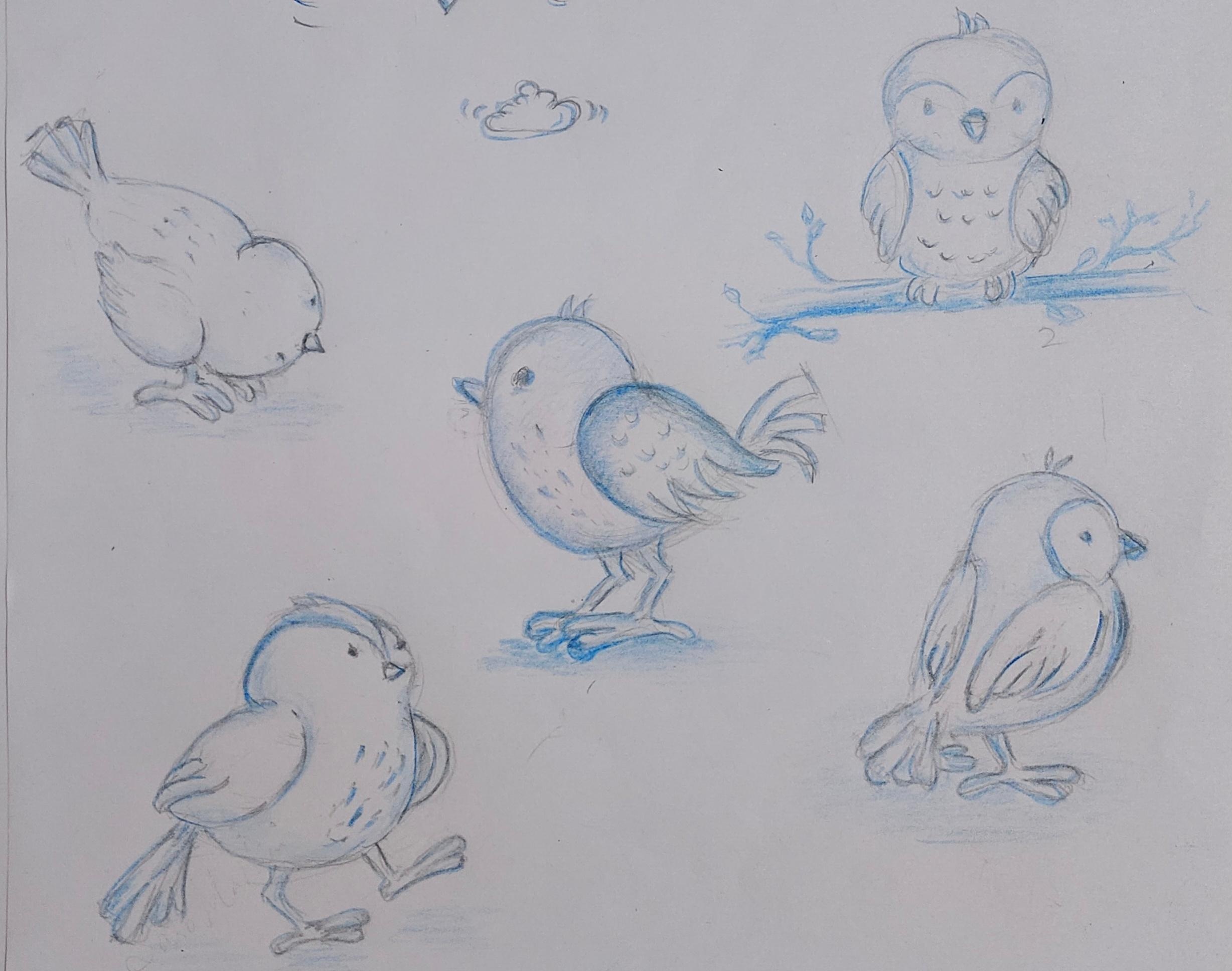 Drawing cute bird poses agnes de bezenac