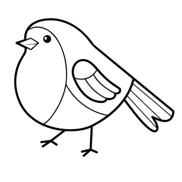 Premium vector bird illustration for coloring