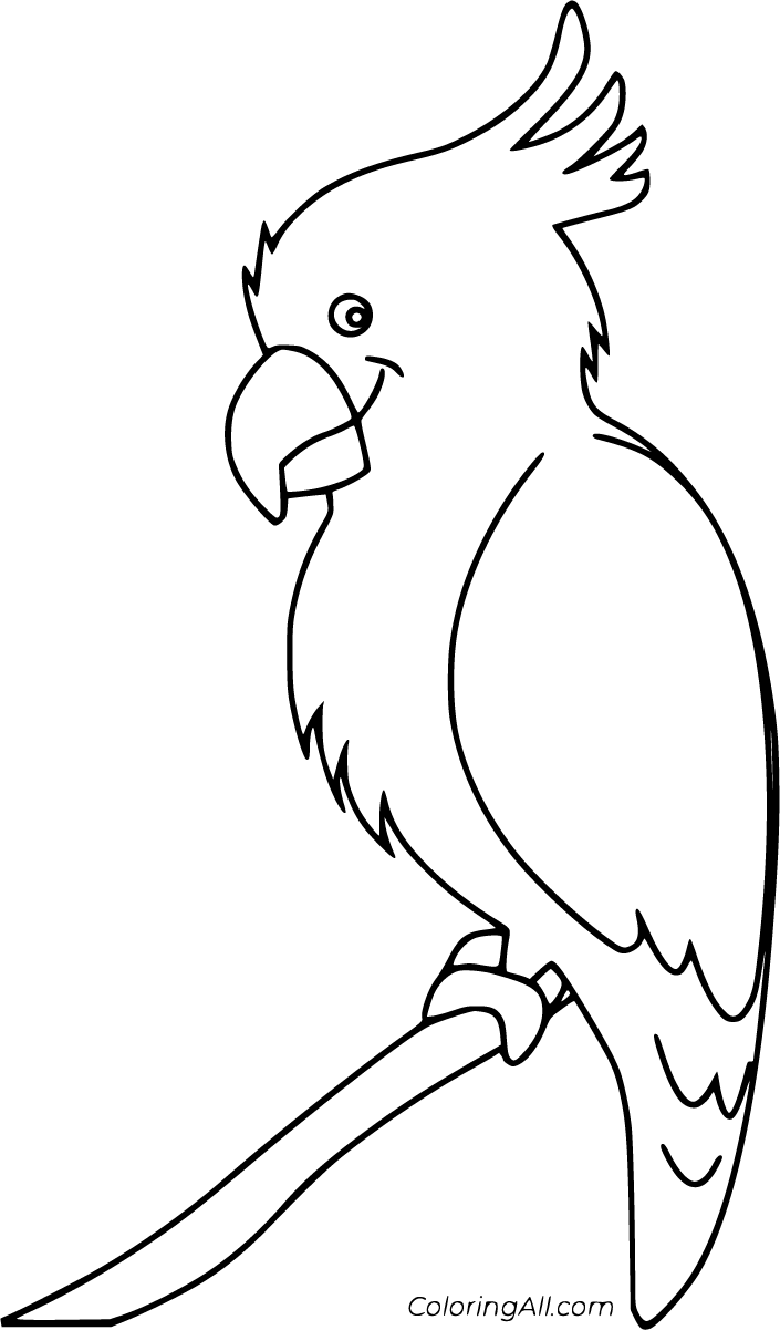 Cockatiel coloring pages coloring pages bird coloring pages easy drawings for kids