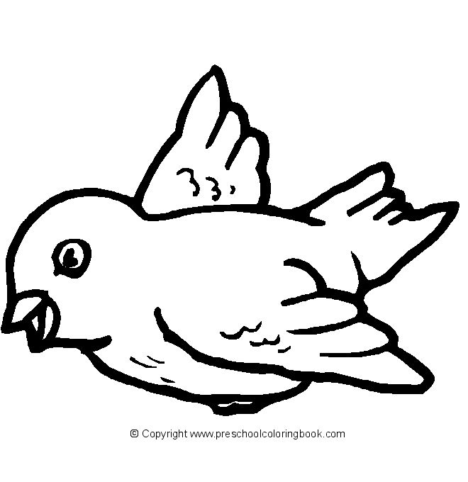 Bird coloring page bird coloring pages coloring pages bird crafts preschool