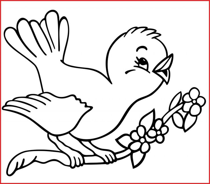 Free bird coloring pages pdf