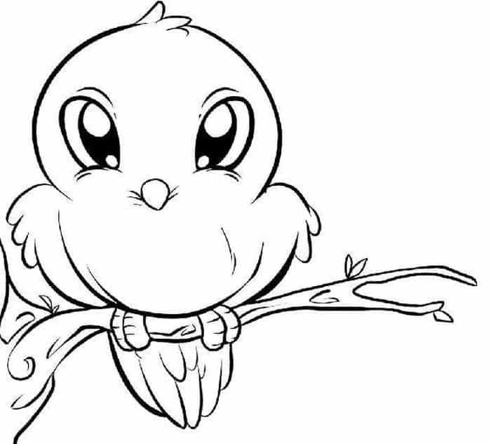 Baby bird coloring pages easy cartoon drawings cartoon drawings of animals animal coloring pages