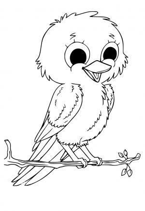 Free printable bird coloring pages for adults and kids