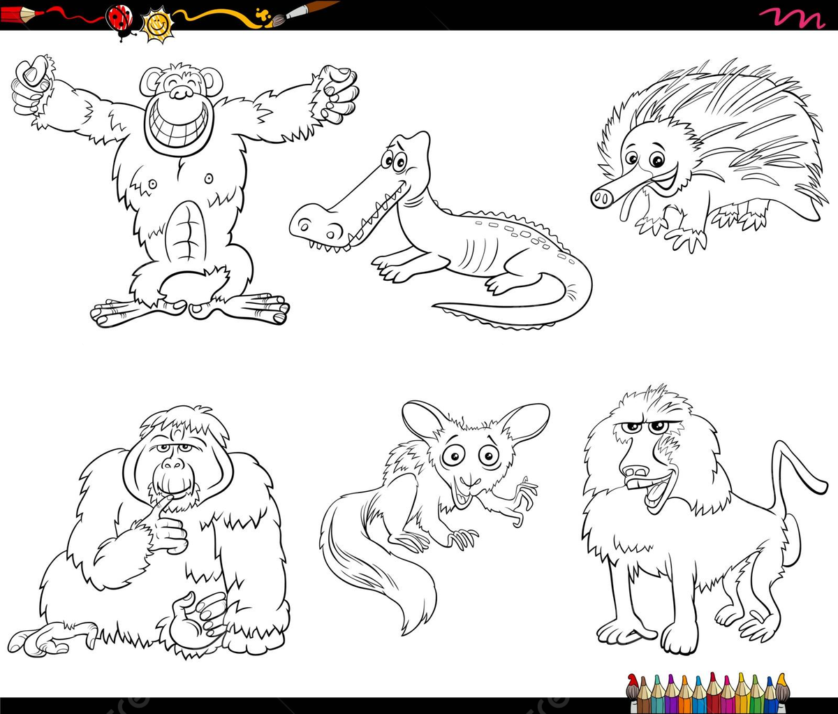 Orangutan clip art png transparent images free download vector files