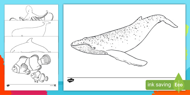 Under the sea creatures colouring sheets