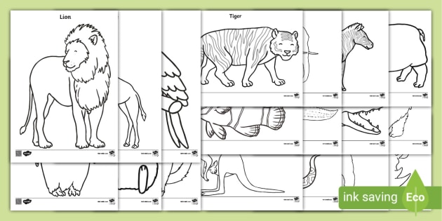 Zoo animals colouring pages