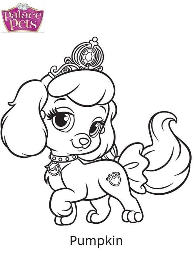 Pumpkin from palace pets coloring page