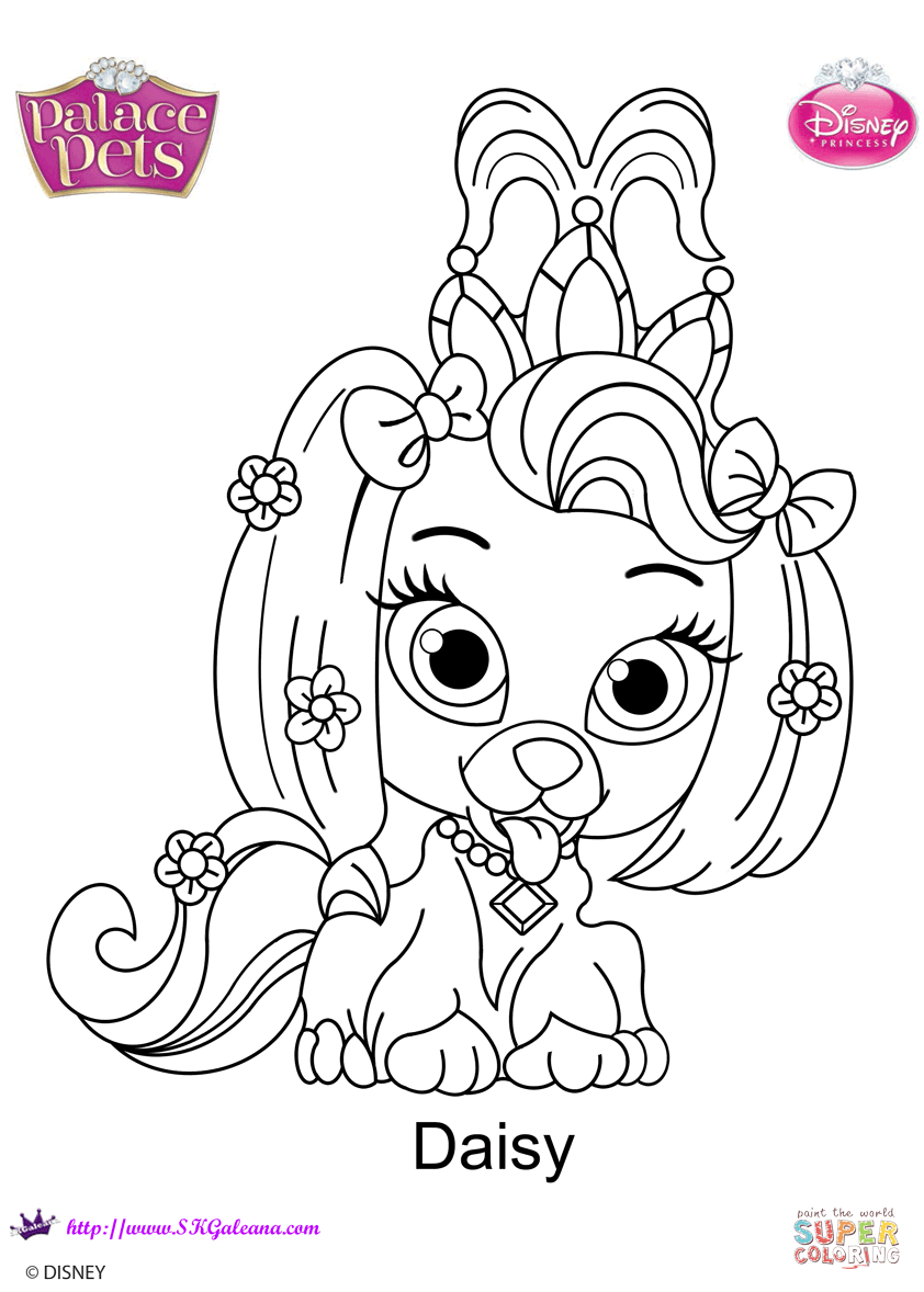 Palace pets daisy coloring page free printable coloring pages