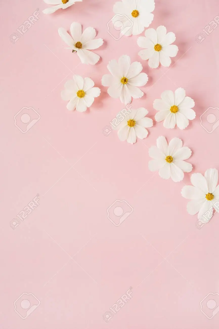 Light pink ethnic floral background Royalty Free Vector