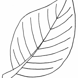 Palm leaf coloring pages printable for free download