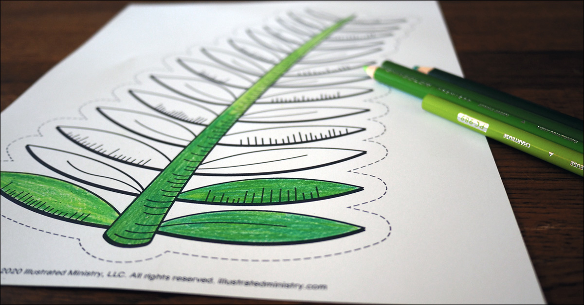 Free downloadable palm frond coloring page for palm sunday