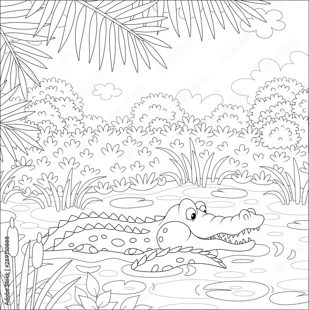 Big crocodile swimming in water of a lake under palm branches in tropical jungle black and white vector illustration in a cartoon style for a coloring book vector