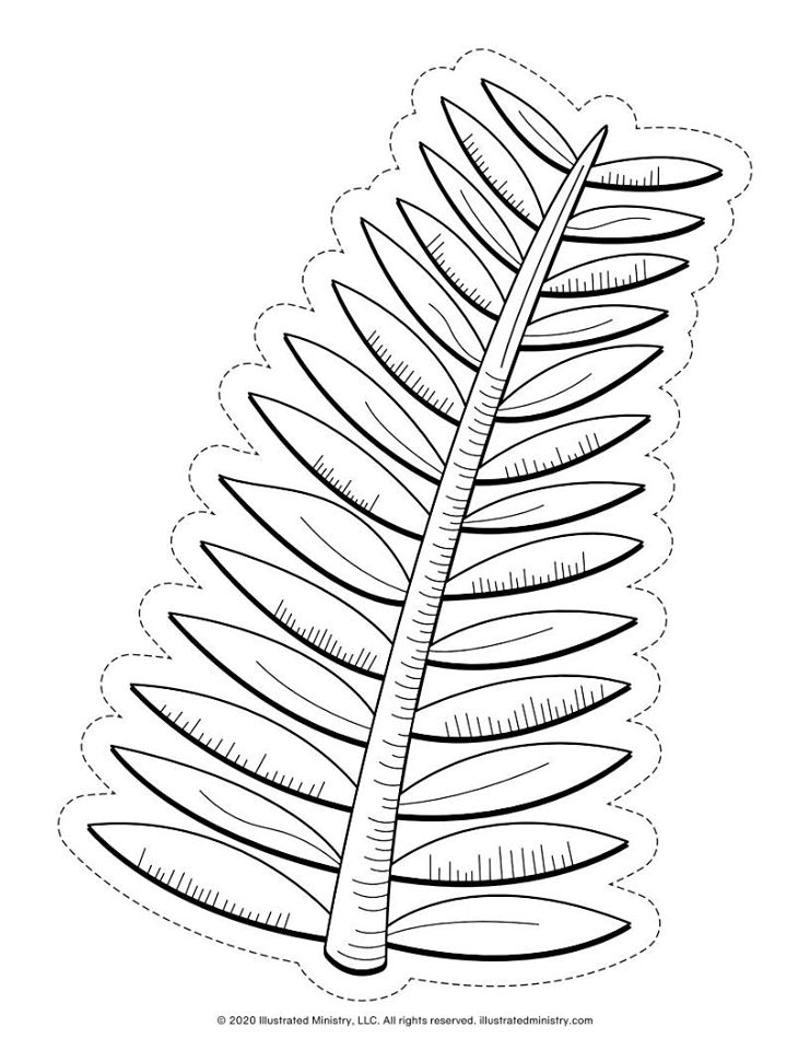 Palm branch