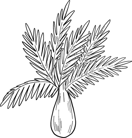 Palm tree coloring page free printable coloring pages