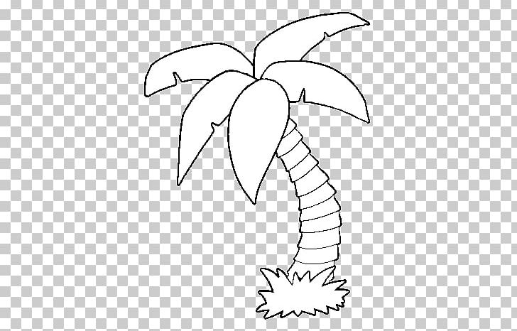 Coloring book colouring pages palm trees date palm png clipart angle art artwork beak branch free