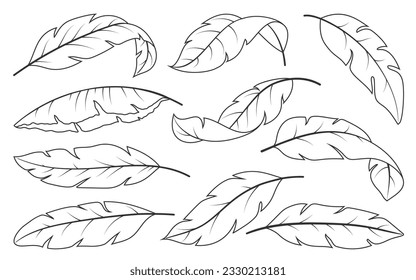 Palm trees coloring book images stock photos d objects vectors