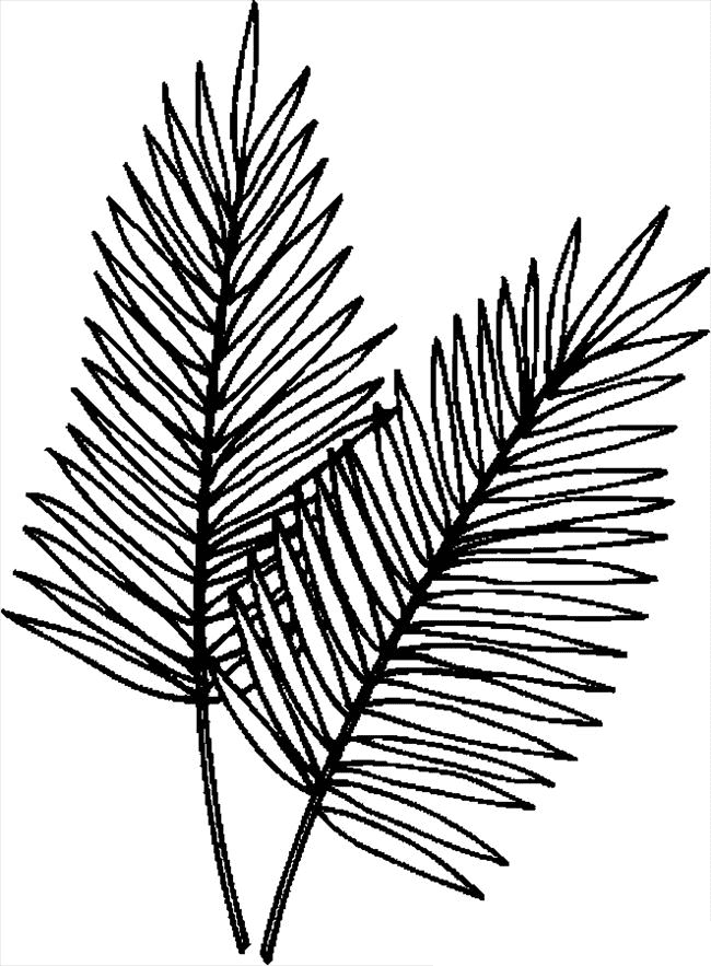 Palm sunday coloring pages printable for free download