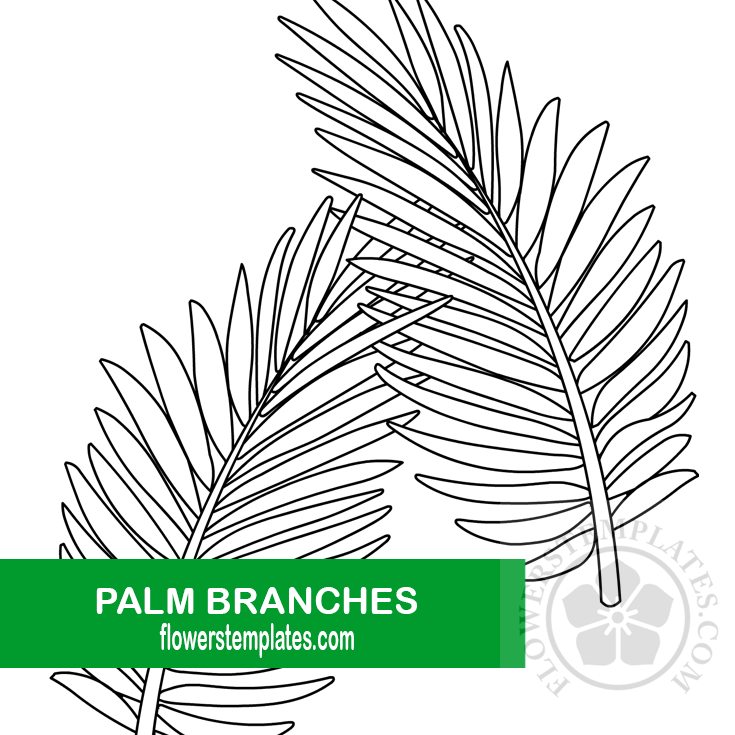 Palm branches coloring page