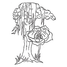 Top tree coloring pages for your little ones