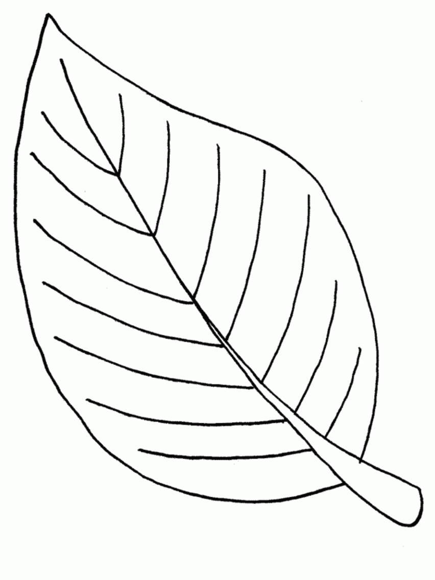 Free palm branch coloring page download free palm branch coloring page png images free cliparts on clipart library