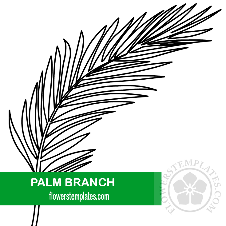 Palm branch coloring page