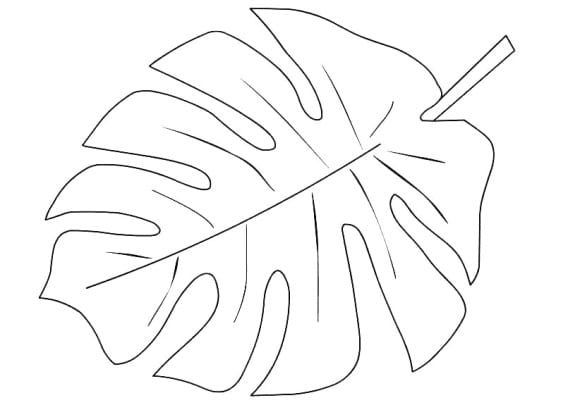 Palm branch coloring page leaf coloring page leaf template coloring pages