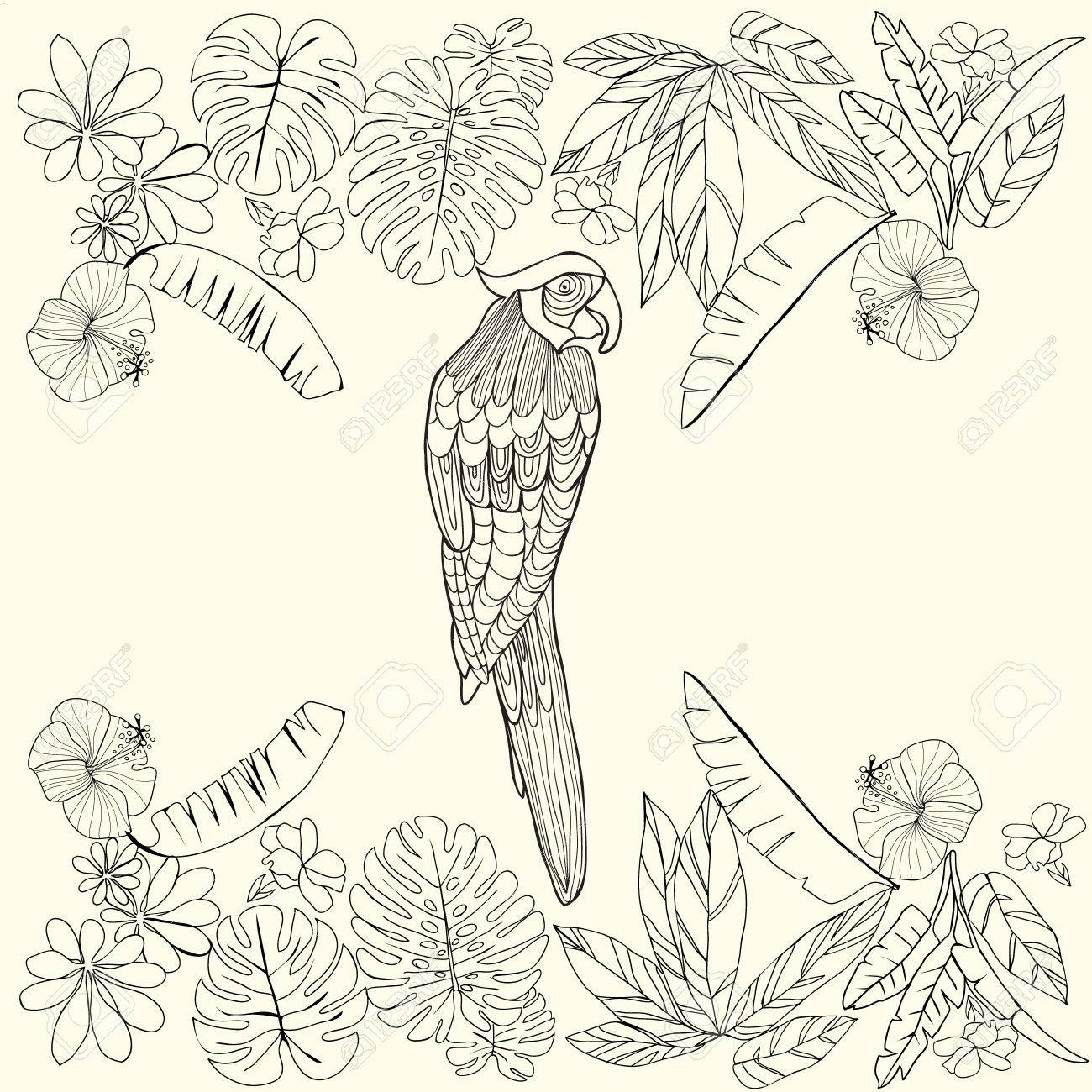 Hand drawn tropical parrot and flowers leaves and space for text coloring book for adult coloring page design element for card print template wallpaper texture royalty free svg cliparts vectors and stock