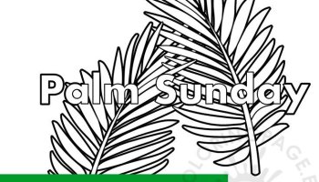 Palm sunday olive branch template coloring page