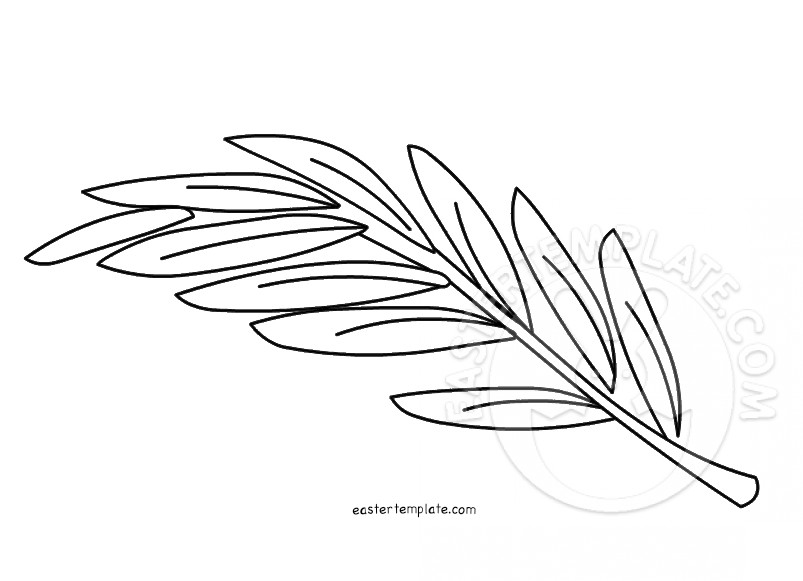 Olive branch coloring page