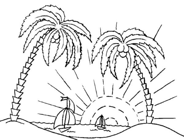 Palm trees at sunset coloring page