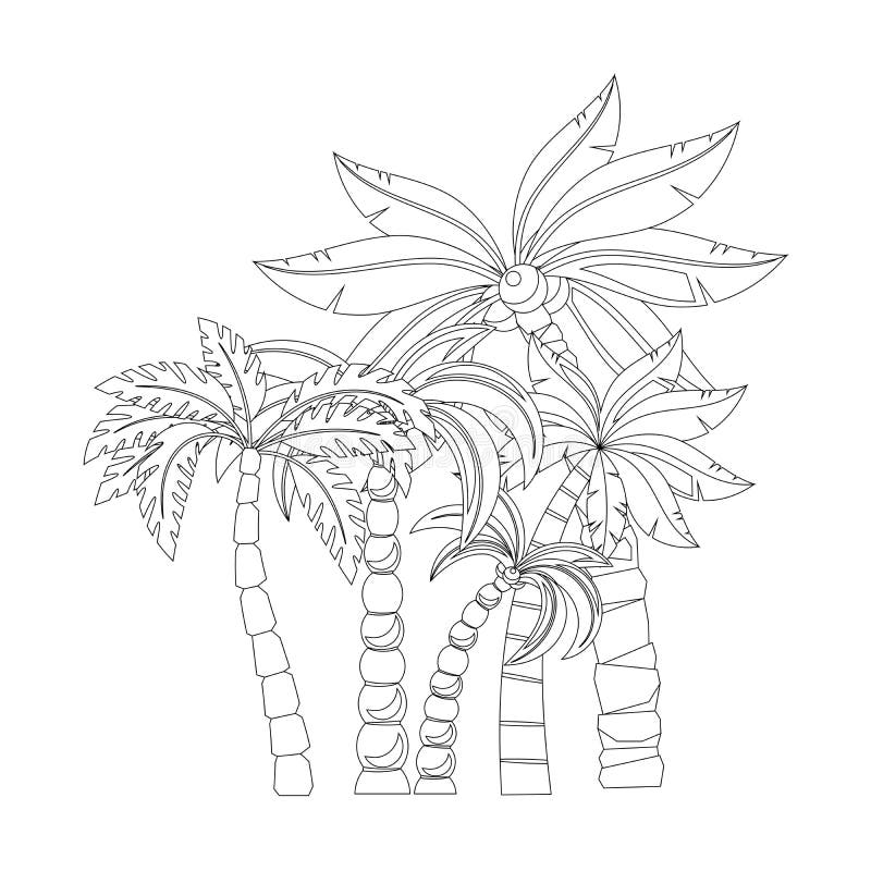 Palm trees for coloring book pages stock vector