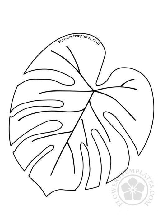 Palm leaf coloring pages