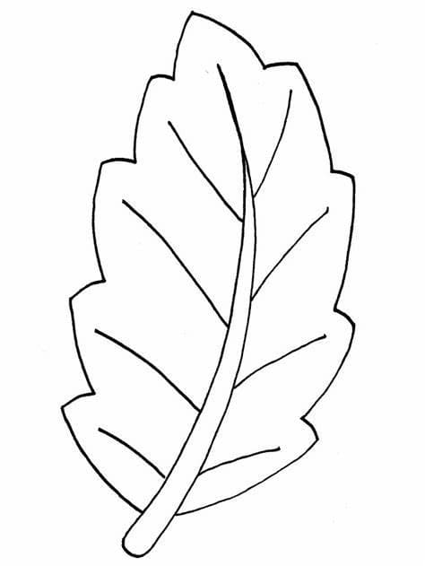 Free leaves image outline coloring page