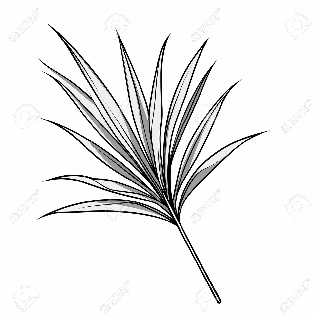 A free palm leaf coloring page featuring an abstract and minimalistic position the design incorporates traditional japanese artistic techniques with a light black color palette the style blends rusticcore exotic realism and