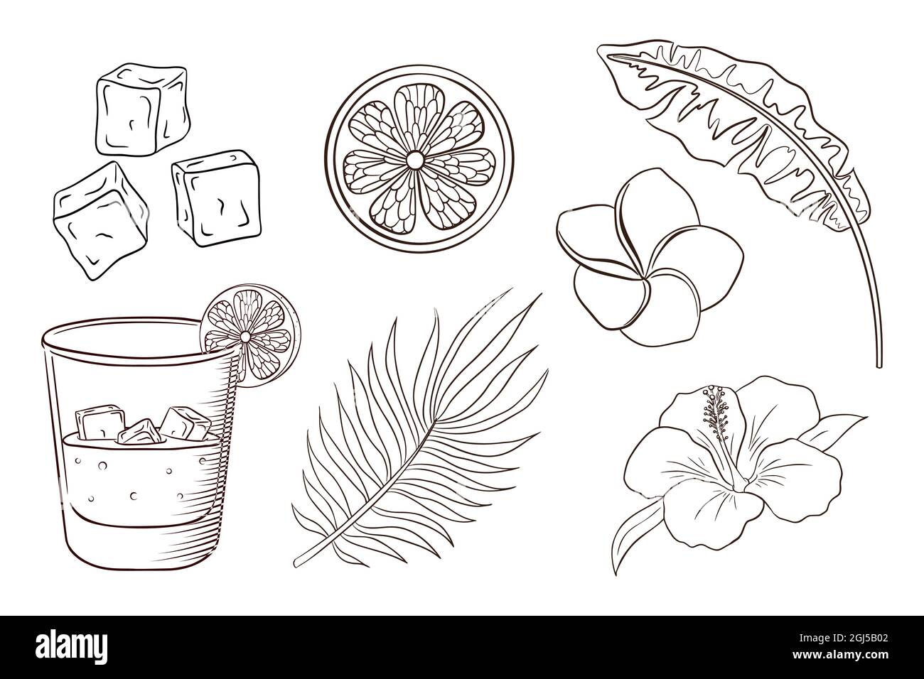 Whiskey and soda cocktail tropical flowers and leaves coloring page exotic plants and blossoms set banana and palm leaves lemon slice ice cubes hibiscus and plumeria flowers premium vector stock vector image