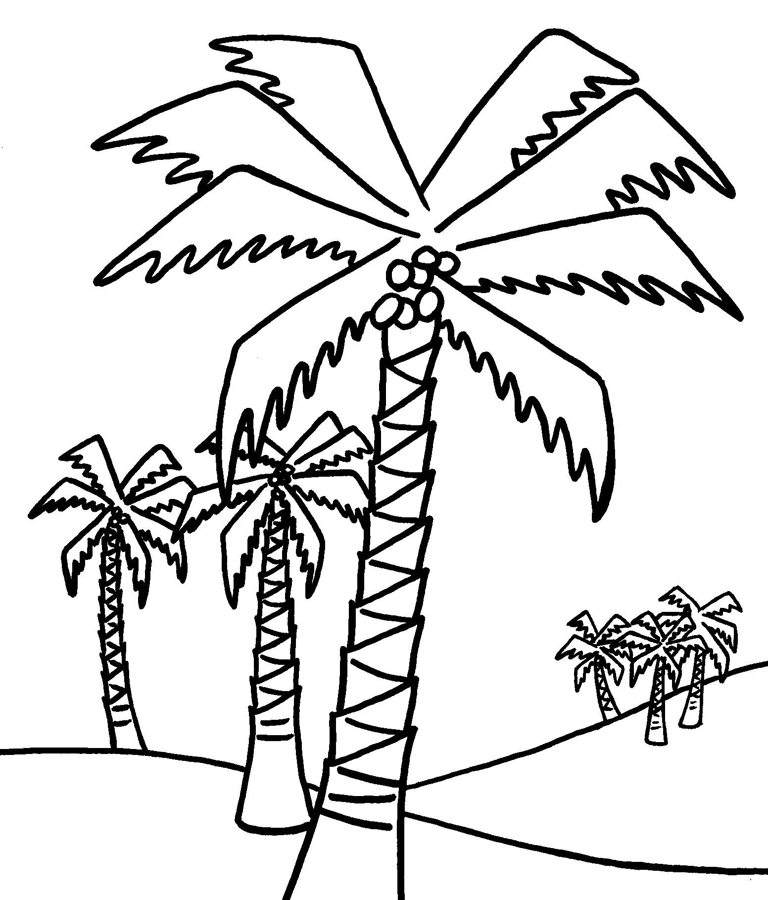 Free printable tree coloring pages for kids