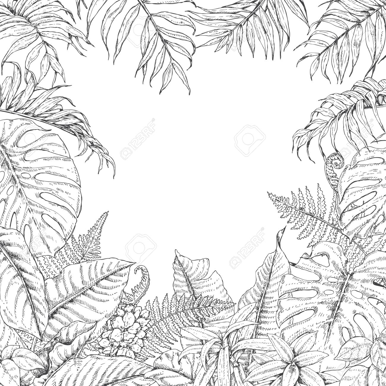 Hand drawn branches and leaves of tropical plants monochrome square floral frame monstera dieffenbachia fern palm fronds sketch black and white illustration coloring page for adult royalty free svg cliparts vectors and