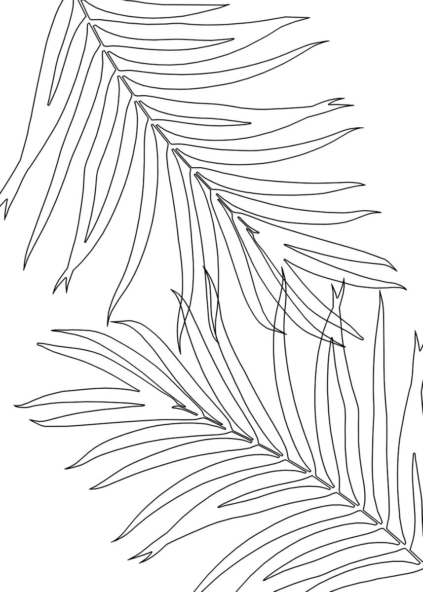 Palm leaves line art poster picture metal print paint by anitas bellas art