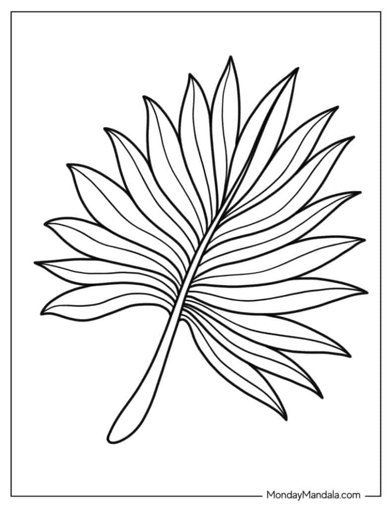 Leaf coloring pages free pdf printables