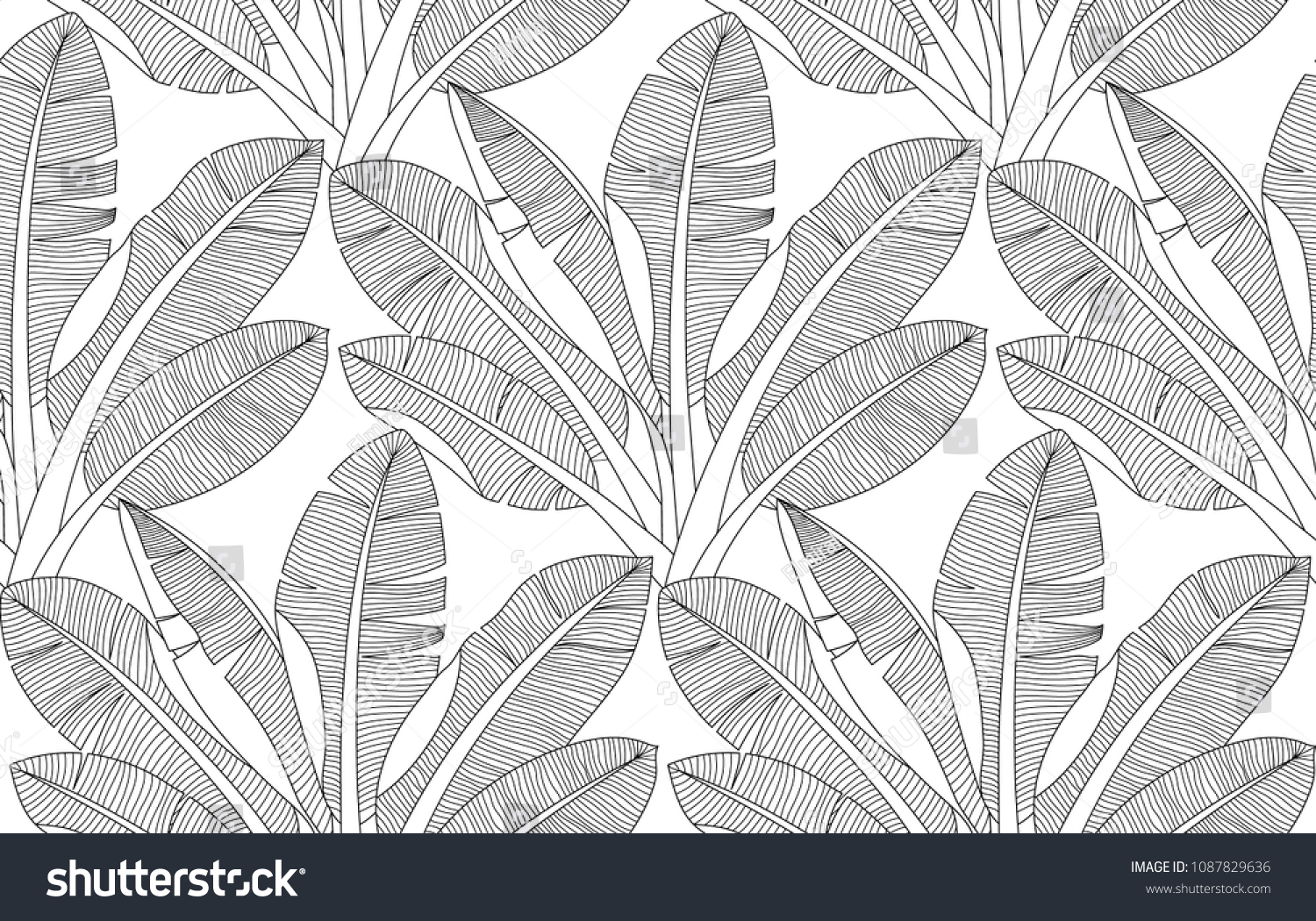 Palm leaves pattern adult zentangle coloring stock vector royalty free