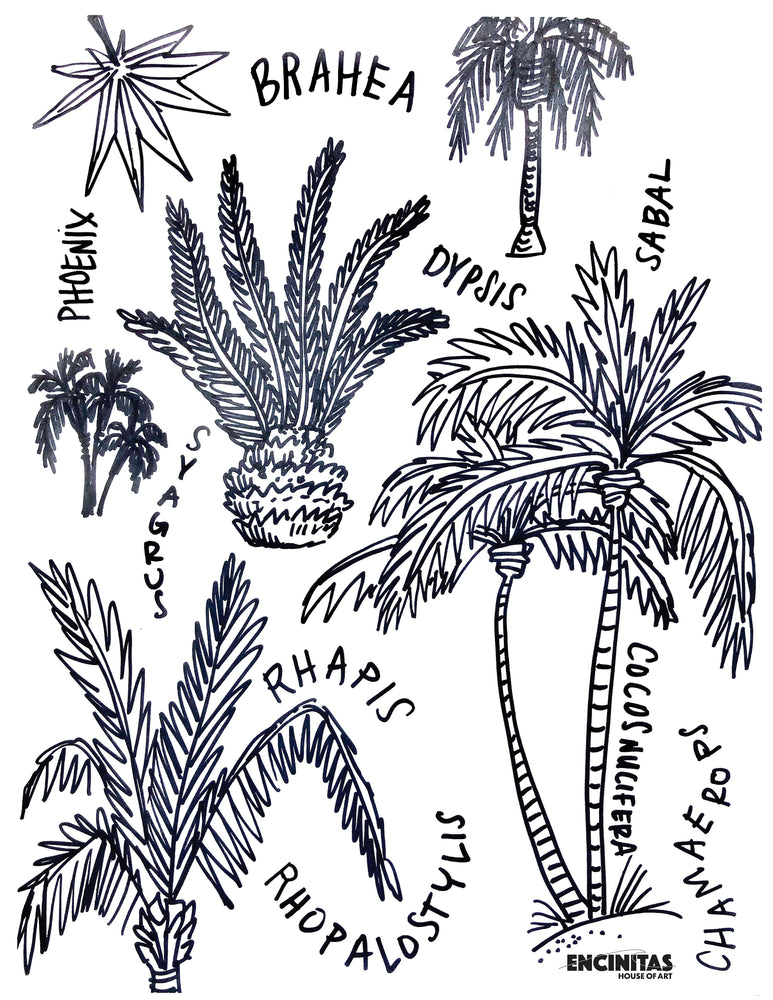 Palm trees coloring page â encinitas house of art