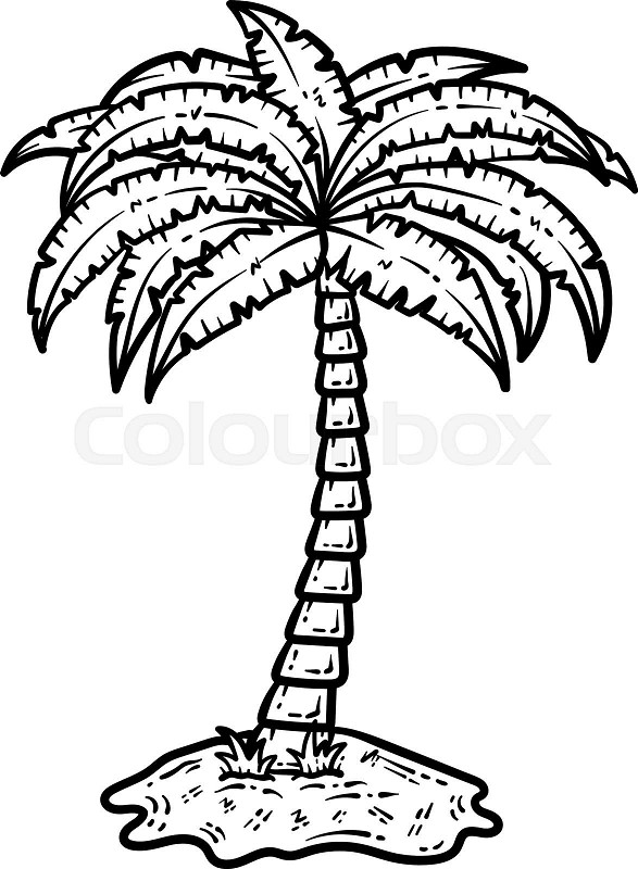 Summer palm tree line art coloring page for adult stock vector