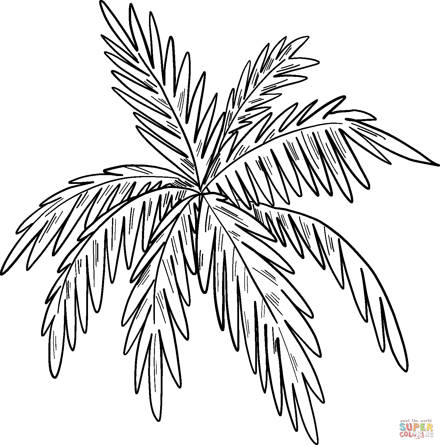 Palm leaves coloring page free printable coloring pages